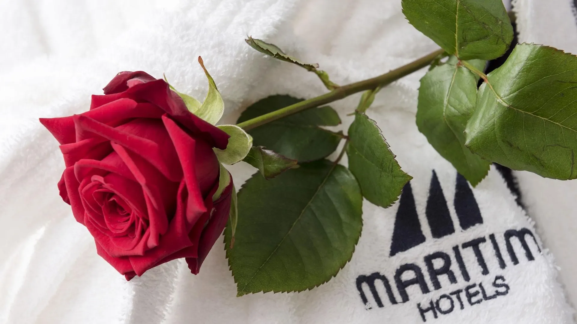 Maritim Hotel Frankfurt Frankfurt am Main Germany